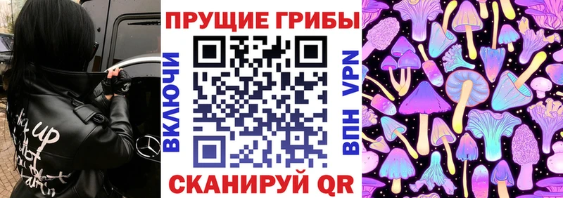 kraken как зайти  Любань  Псилоцибиновые грибы GOLDEN TEACHER 
